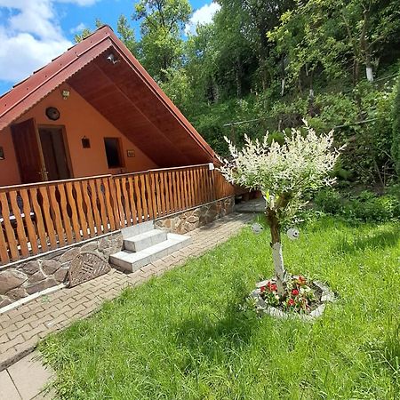Апартаменти Casa Adimi Сігішоара Екстер'єр фото
