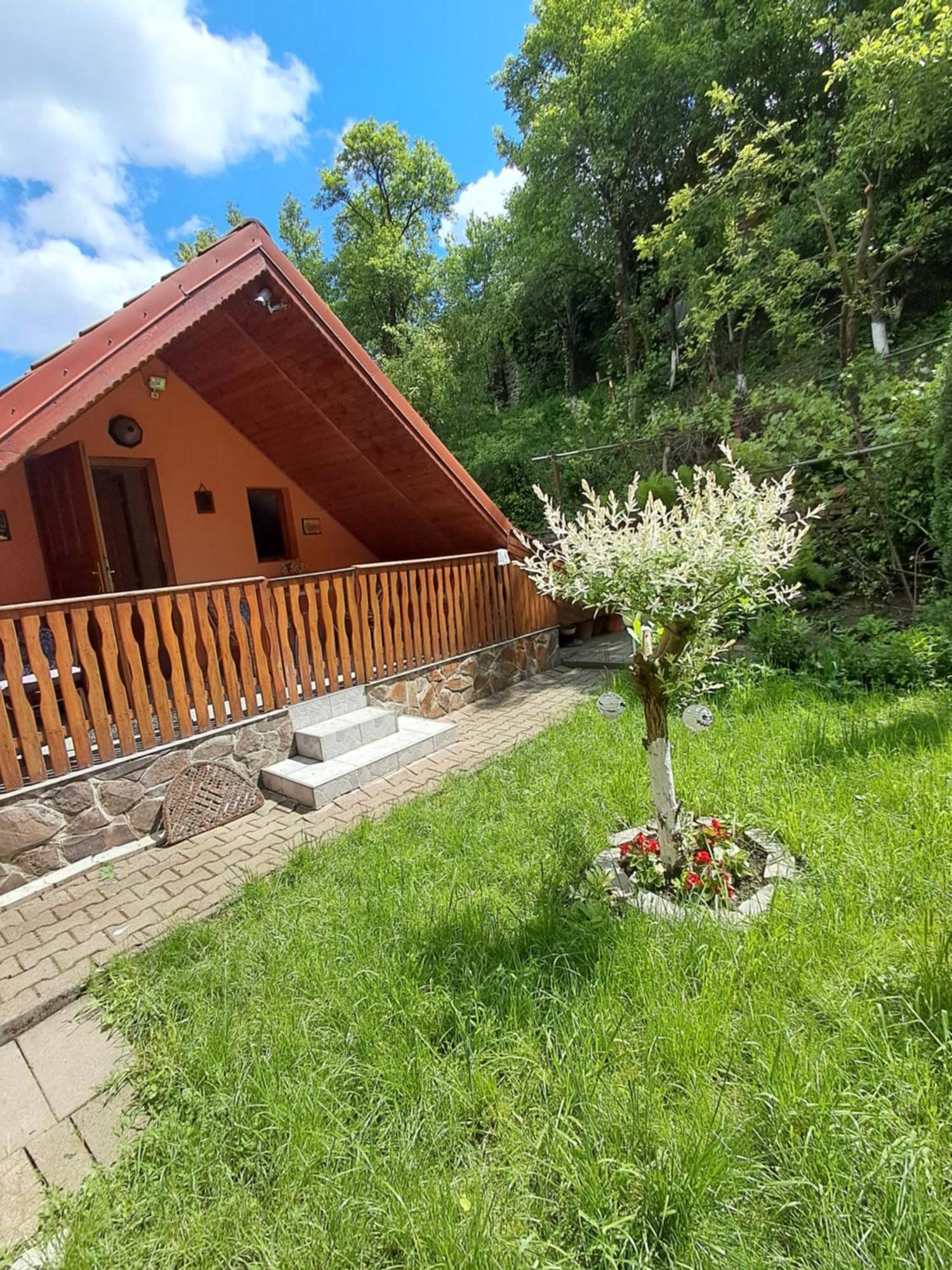 Апартаменти Casa Adimi Сігішоара Екстер'єр фото