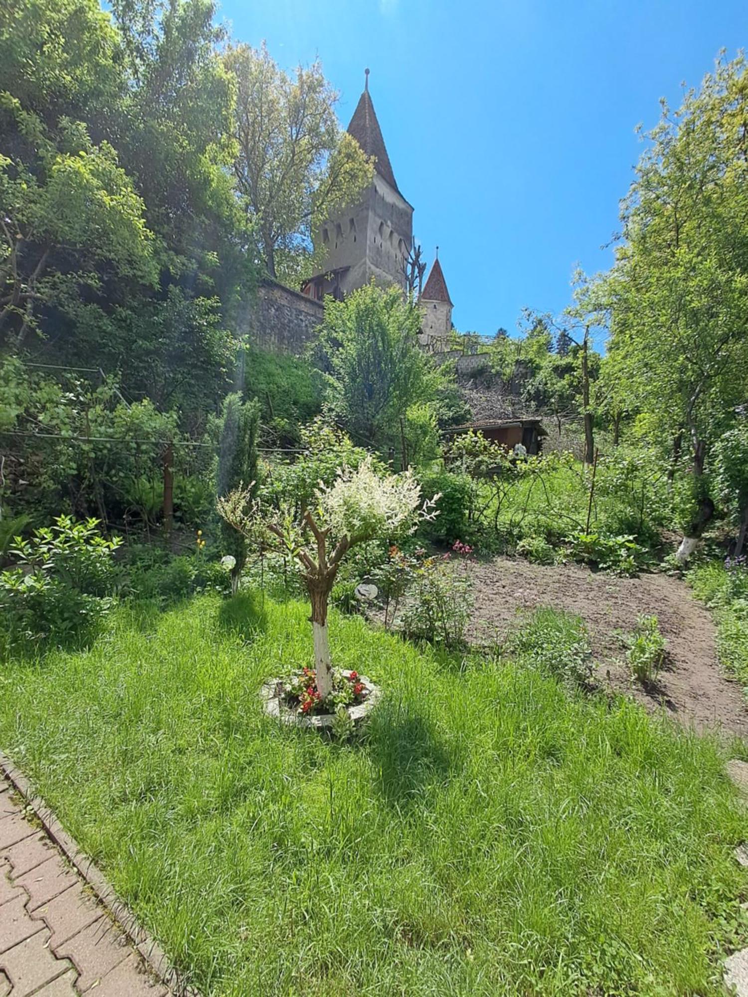 Апартаменти Casa Adimi Сігішоара Екстер'єр фото